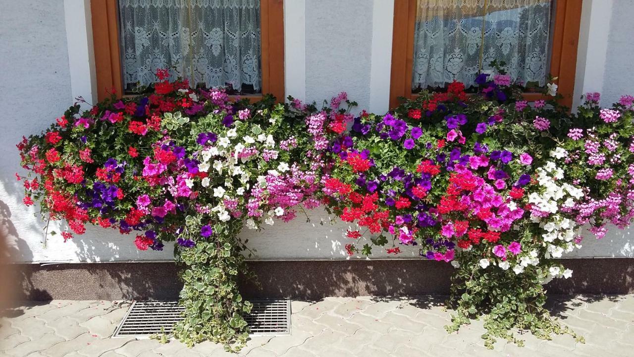 Haus Edlinger Inclusive Murau Sommer Gaeste Card Sankt Georgen ob Murau Luaran gambar